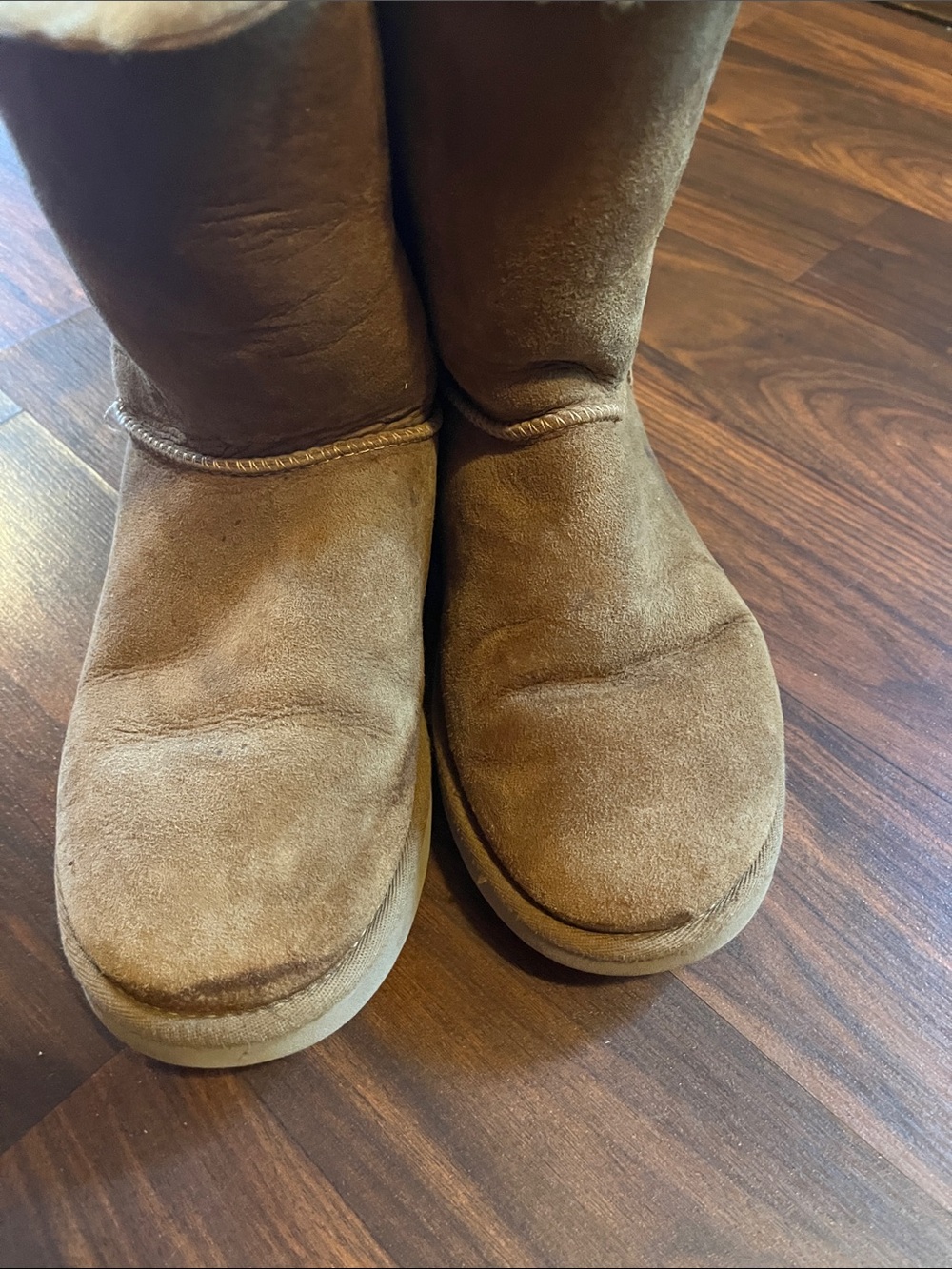 Bailey Bow Uggs - Picture 3 of 5